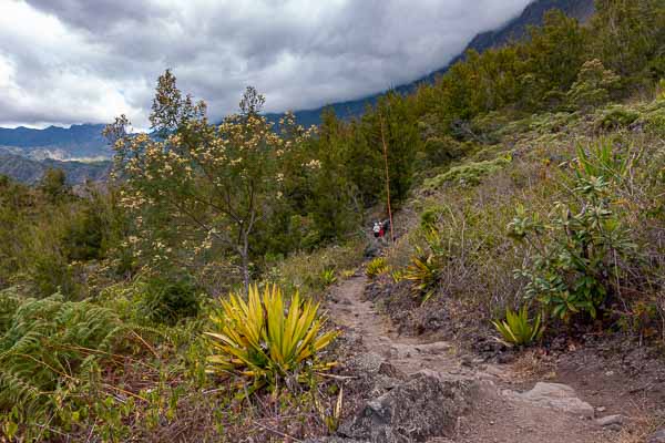 Descente vers Roche Plate