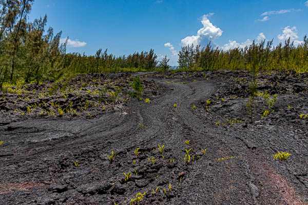 Coulée de 1986 : rivière de lave