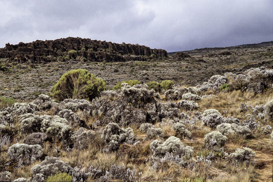 Plateau de Shira