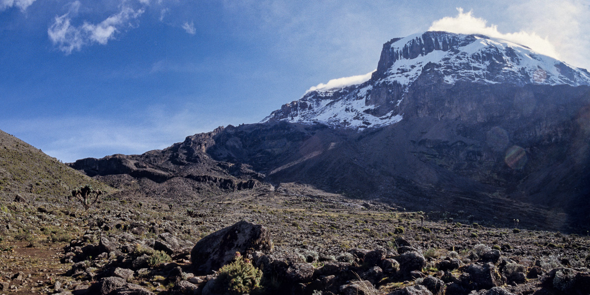 Le Kibo vu de Barranco