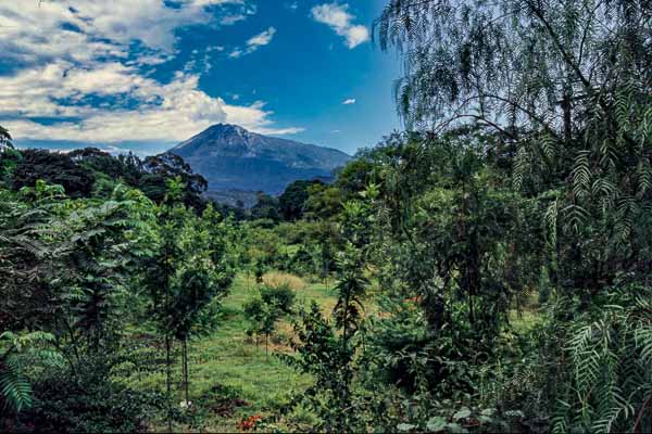 Mont Meru