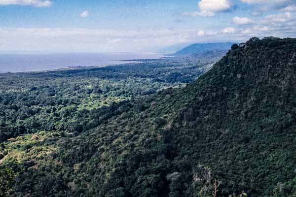 Lac Manyara