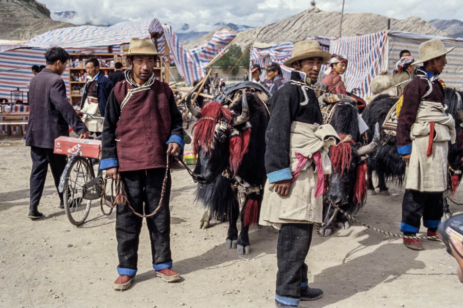 Festival de Gyantse : paysans et yak