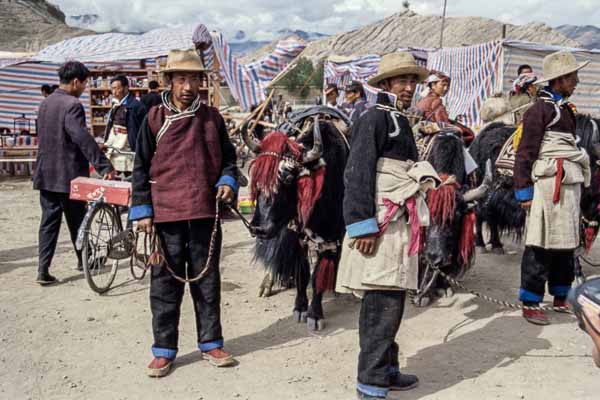 Festival de Gyantse : paysans et yak