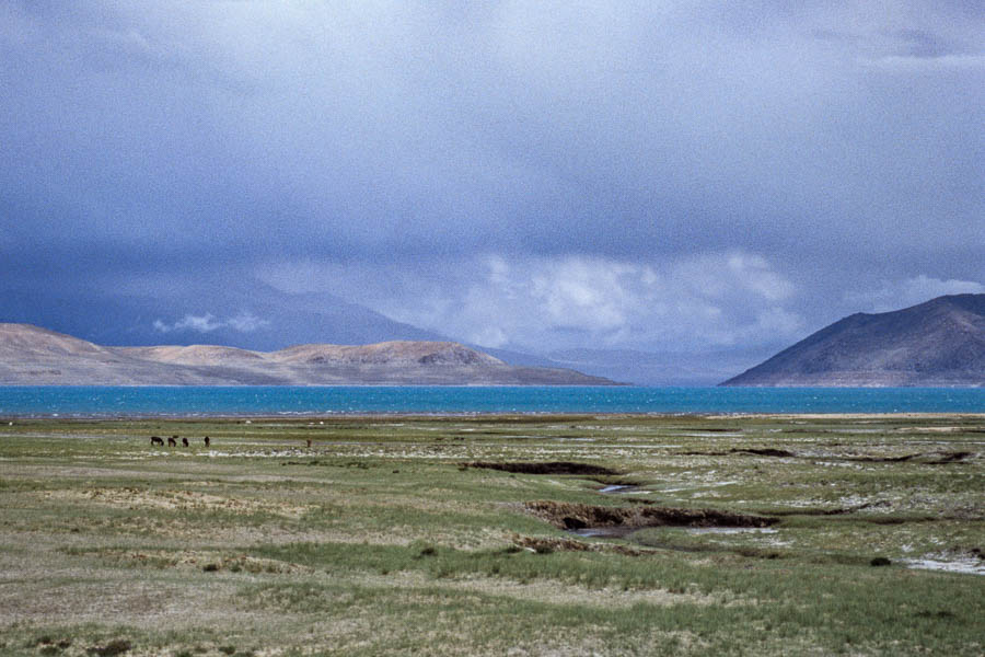 Pelku Tso