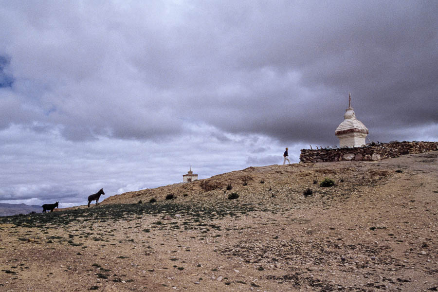 Monastère de Chiu : chortens