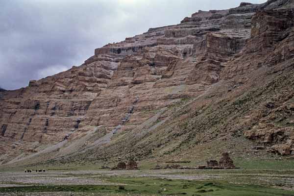 Vallée, yaks, chortens