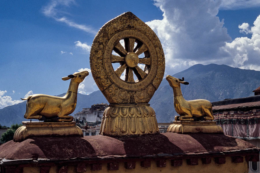 Lhasa : Jokhang, toits