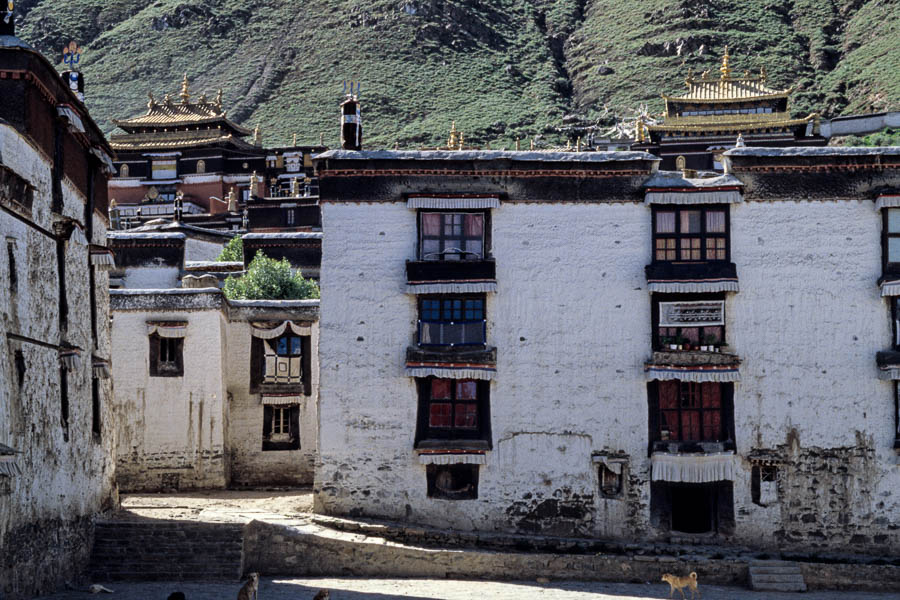 Shigatse : monastère de Tashilhunpo