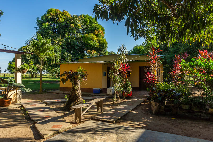Mata de Madera : campamento Cañafistola, restaurant