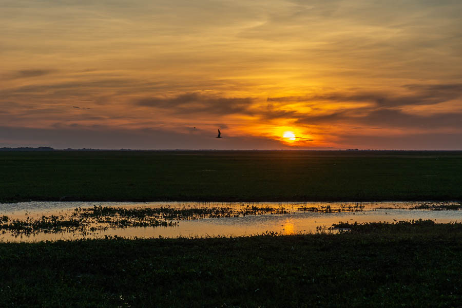 Coucher de soleil