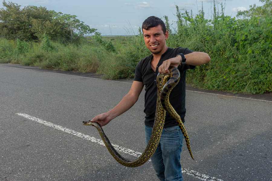 José et un anaconda