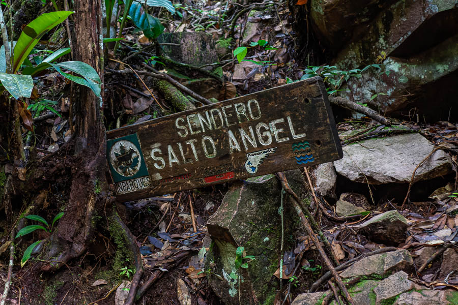 Sentier du Salto Angel