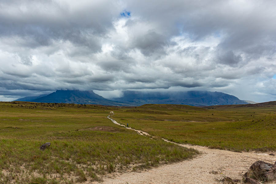 Vers les tepuys Kukenan et Roraima