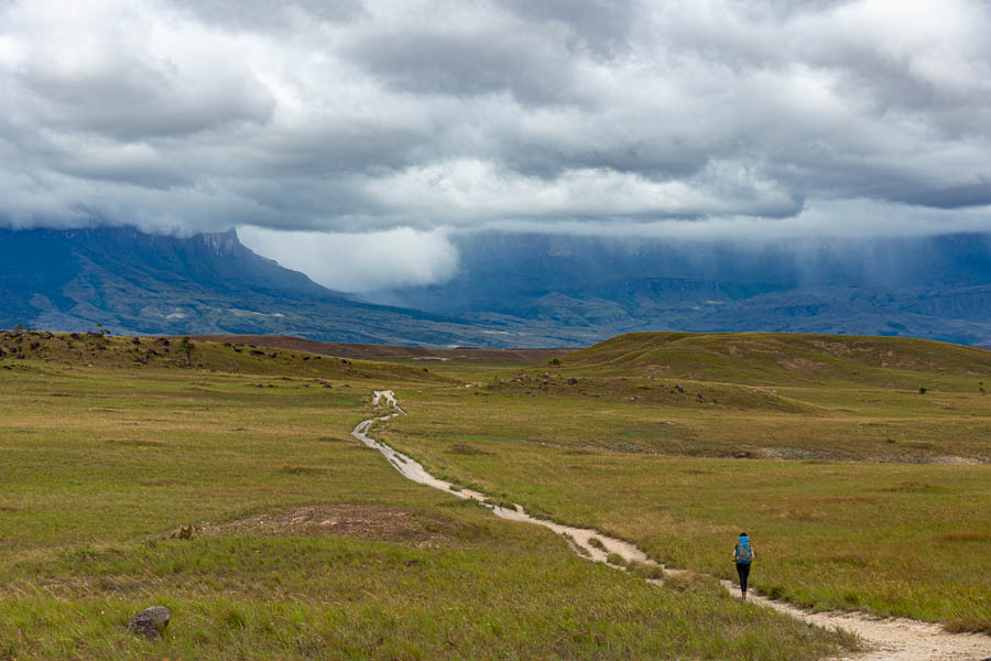 Vers les tepuys Kukenan et Roraima