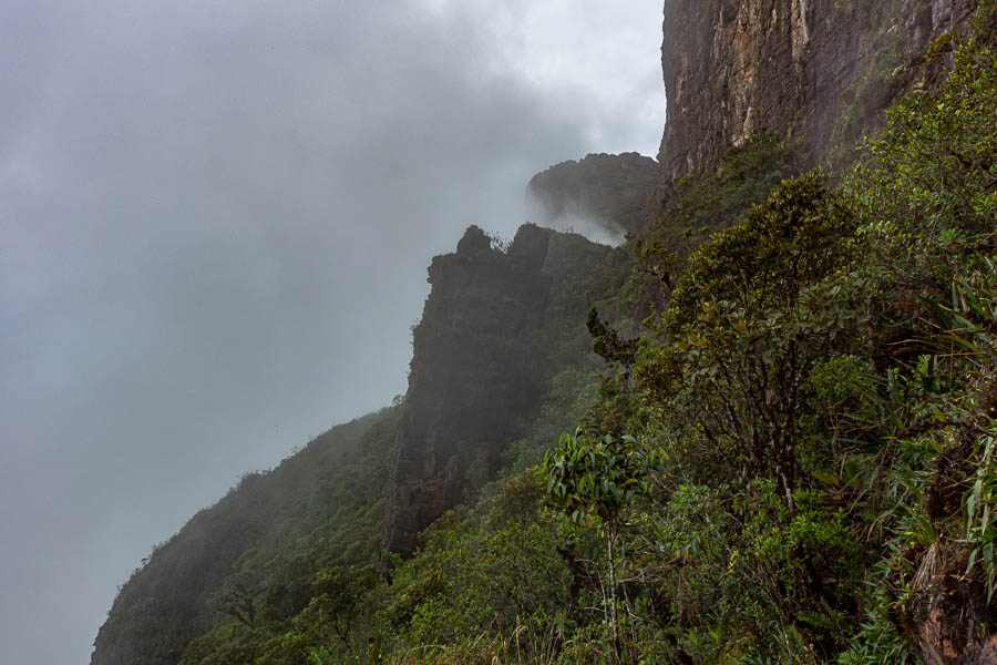 En montant au Roraima