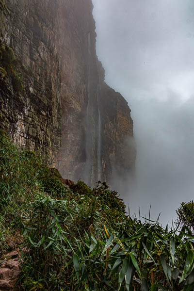 Roraima : cascade