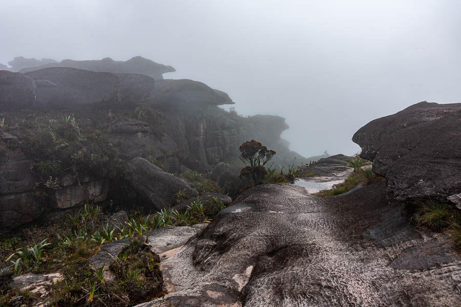 Roraima : sortie