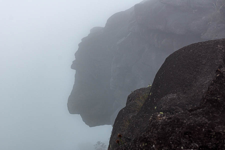 Roraima : indien