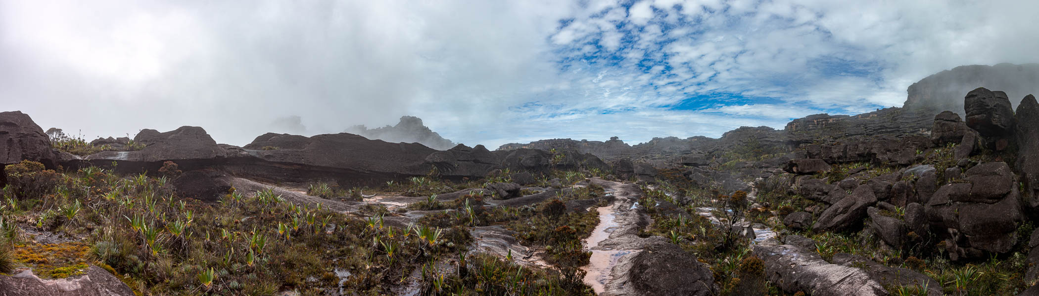 Roraima : plateau sommital