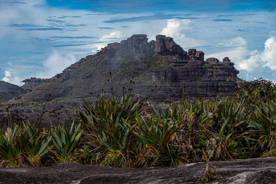 Roraima : plateau sommital