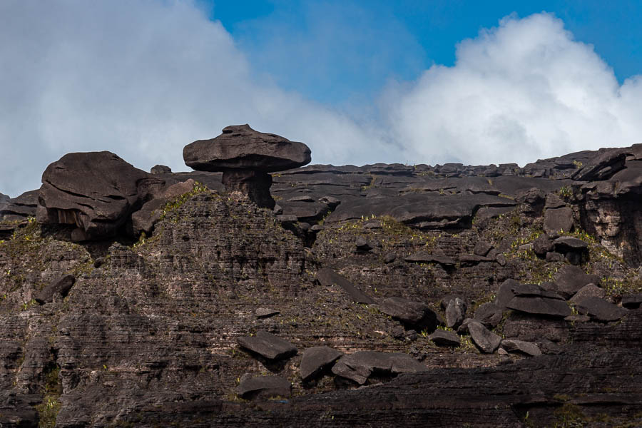 Roraima : rochers suggestifs, champignon