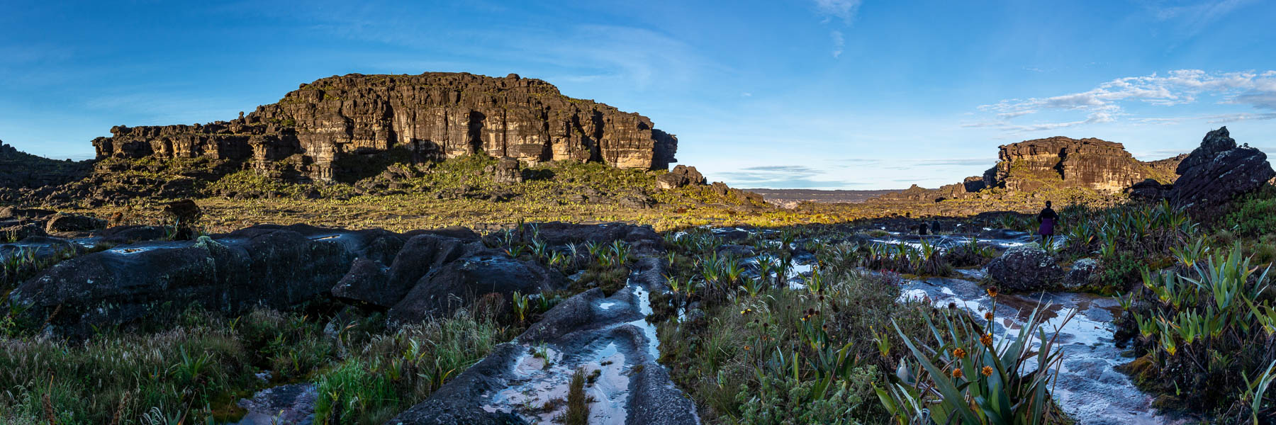 Rocher Maverick, point culminant du Roraima