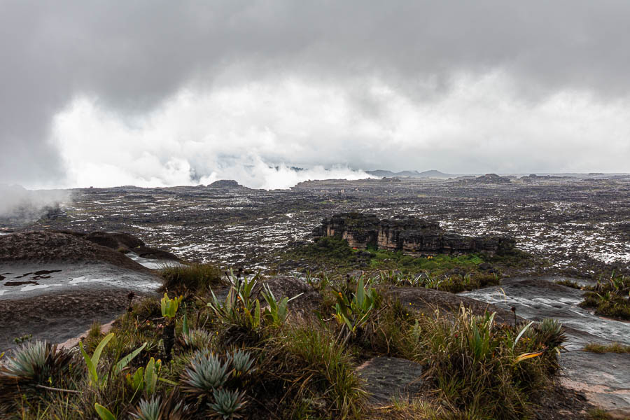 Sommet du Roraima