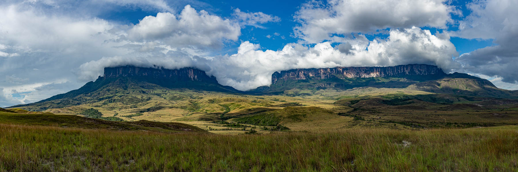 Kukenan et Roraima