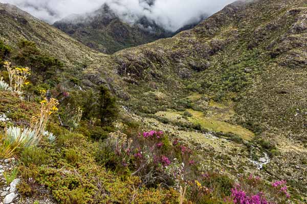 Paramo