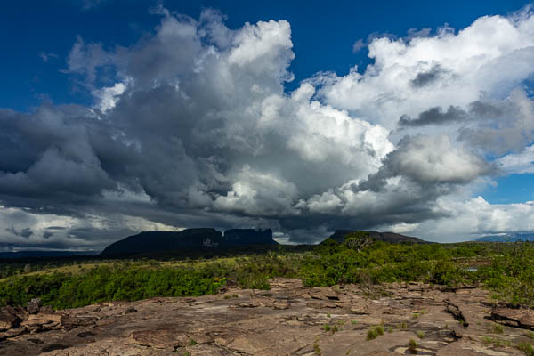 Canaima : île Anatoliy, vue vers le nord