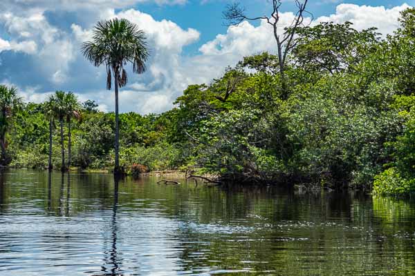 Sur le rio Carrao