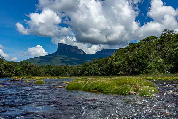 Rio Churun et Wey Tepuy