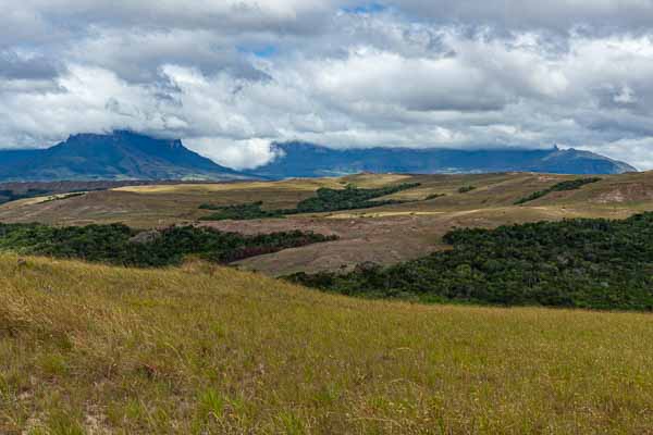 Vue vers les tepuys Kukenan et Roraima