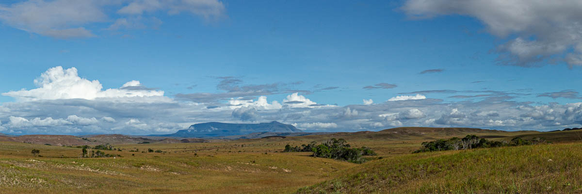 Gran Sabana et tepuy