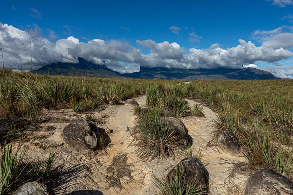 Vers les tepuys Kukenan et Roraima