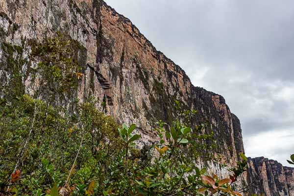 Roraima