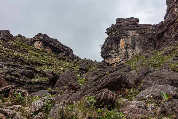 Roraima : sortie vers le plateau