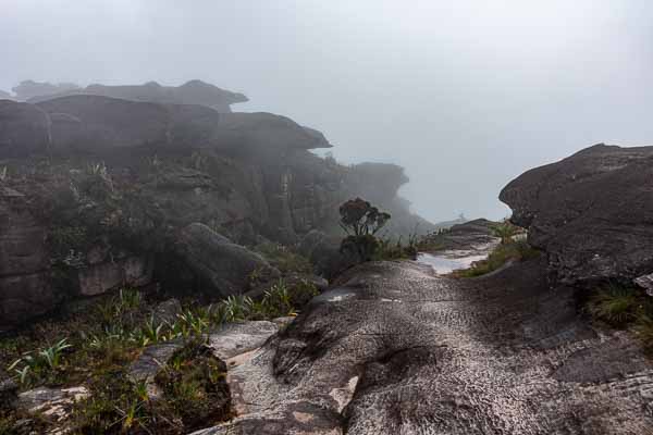 Roraima : sortie
