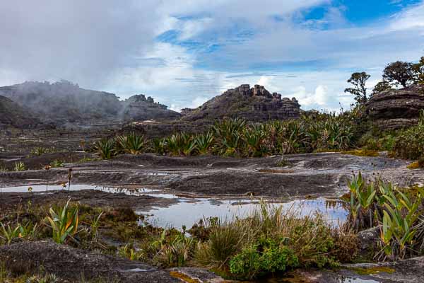 Roraima : plateau sommital