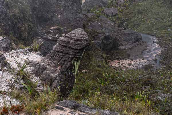 Roraima : rochers suggestifs, el Padre de las Aguas