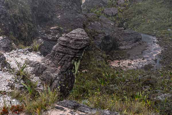 Roraima : Padre de las Aguas