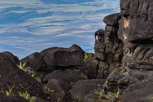 Roraima : rochers suggestifs, éléphant