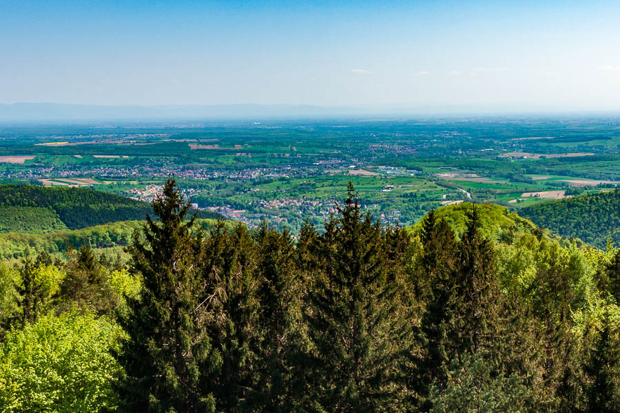 Tour du Grand Wintersberg : vue vers Niederbronn et Reichshoffen