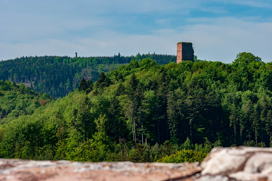 Château du Haut-Barr : vue vers le Geroldseck