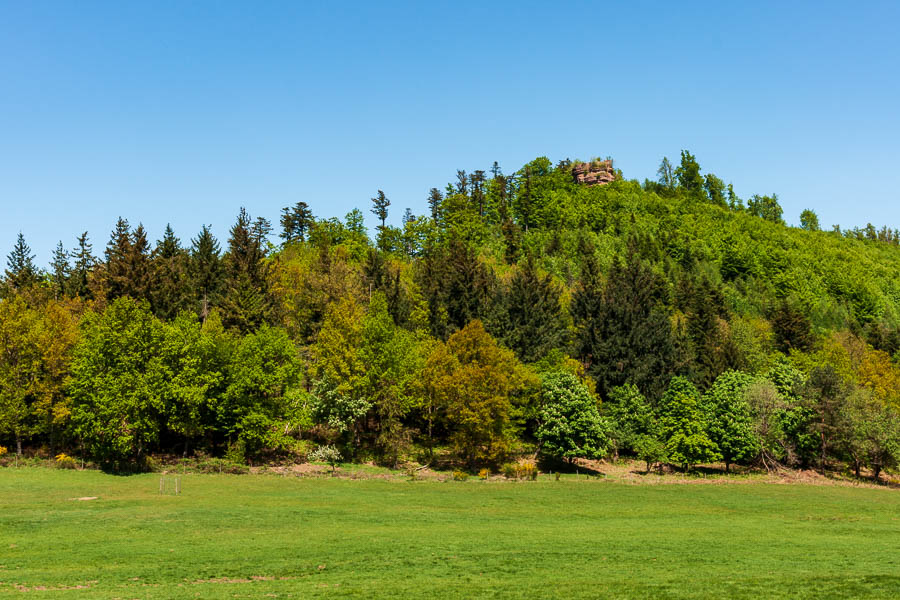 Haberacker : ruines de l'Ochsenstein