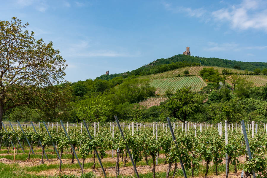 Château de l'Ortenbourg