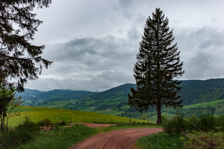 Vers le col des Bagenelles