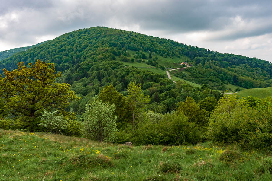 Riesenkopf