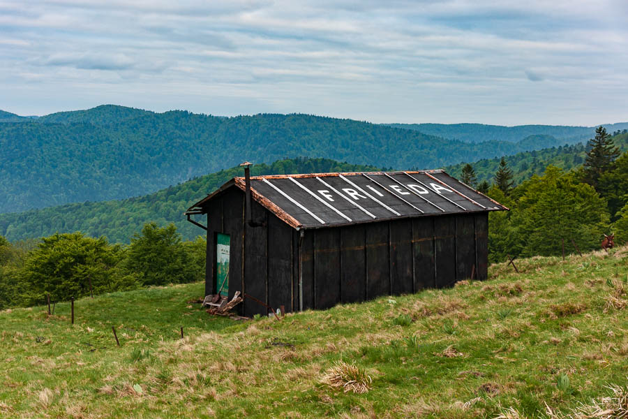 Cabane de Frieda